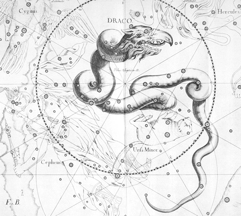 Johannes Hevelius' Draco from Uranographia 1690