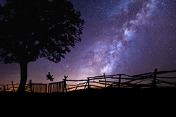 photo of child on swing looking at stars