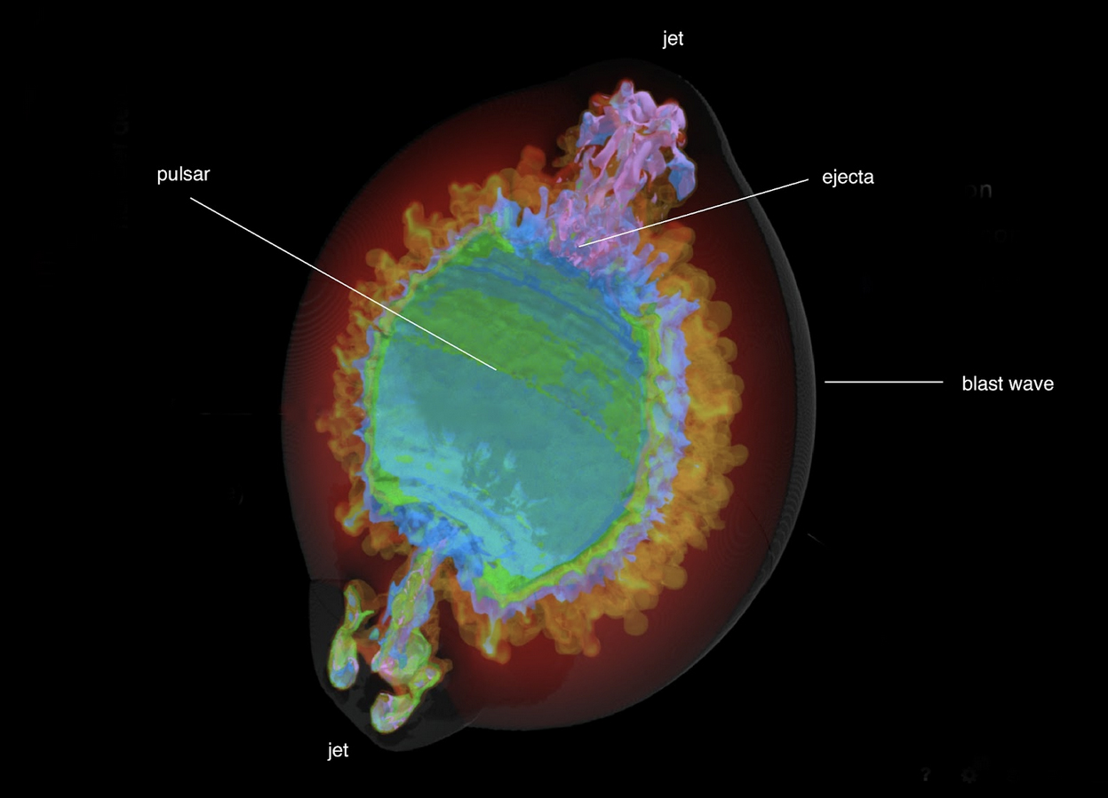 3D Model of Vela