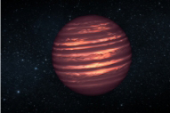 Find new exoplanets