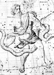 Ophiuchus