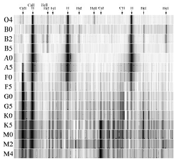 Sample Stellar Spectra