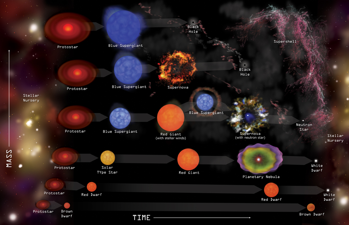 Stellar Evolution