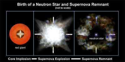 Birth of a Neutron Star and Supernova Remnant