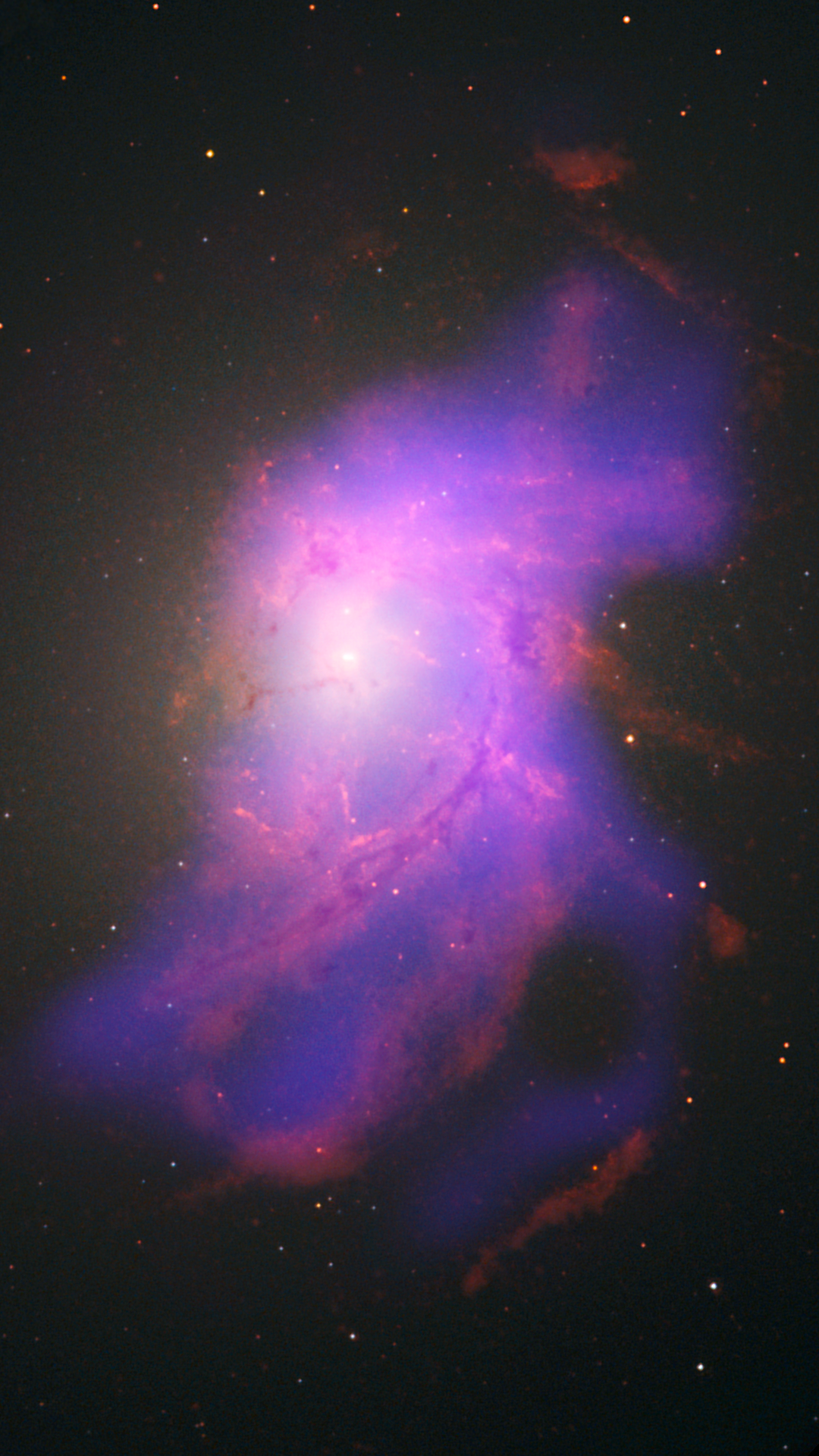 Centaurus Cluster