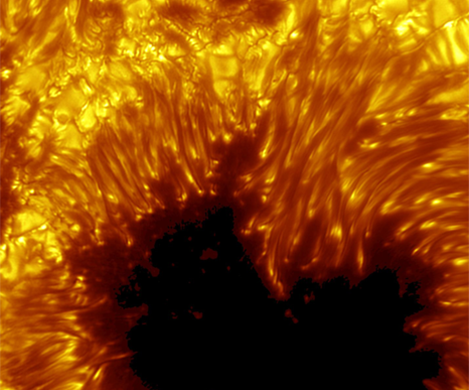 Sunspot