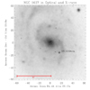 Chandra X-ray Image with Scale Bar 