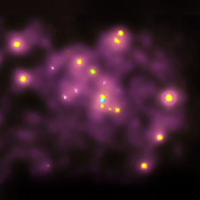 Chandra Andromeda/M31 X-ray Image