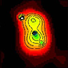 3C294 Adaptivly Smoothed with Contours