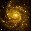 DSS Optical Image of M101
