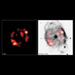 Chandra X-ray & NOAO Optical Composite of NGC 40