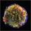 Tycho's Supernova Remnant 