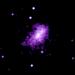 Chandra X-ray Image of MACS J1149.5+223