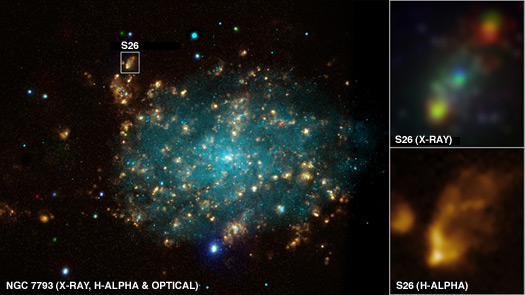 NGC 7793