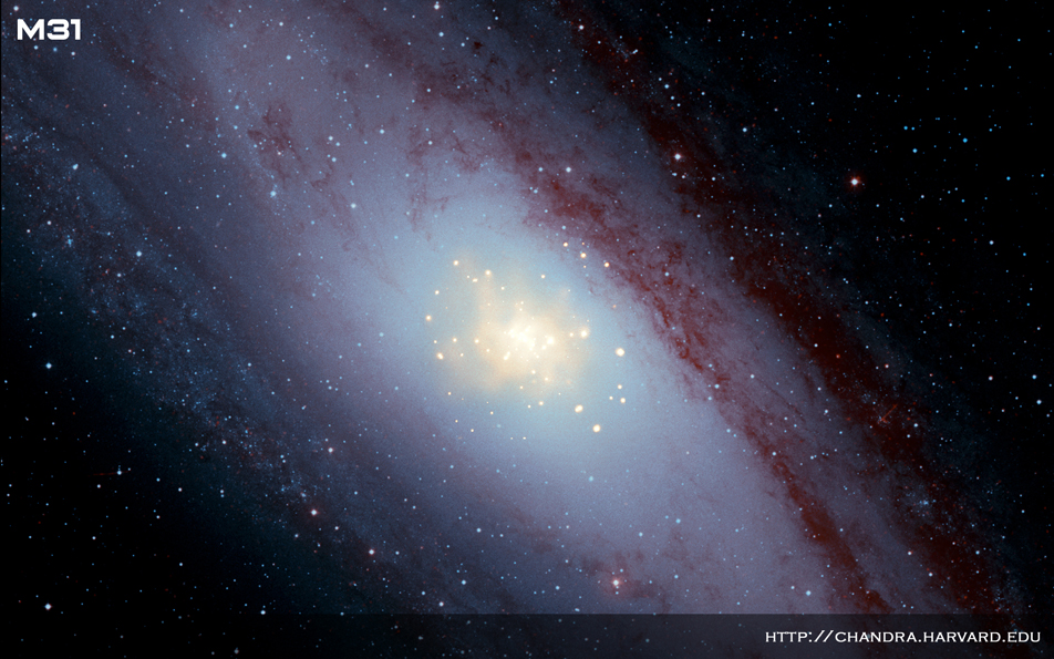 M31