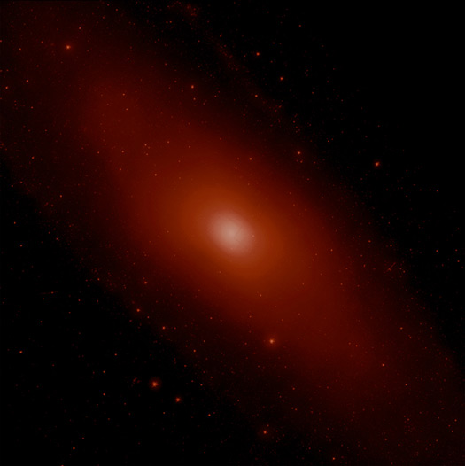 M31