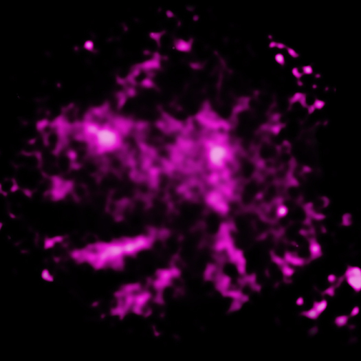 Coma Cluster