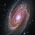 M81