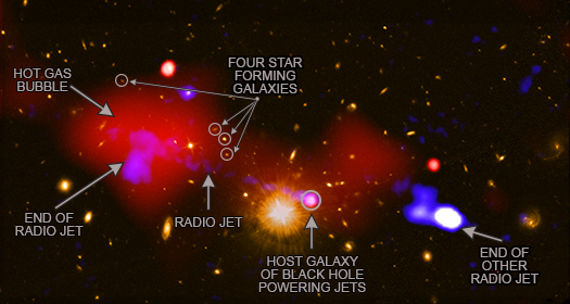 Labeled composite image