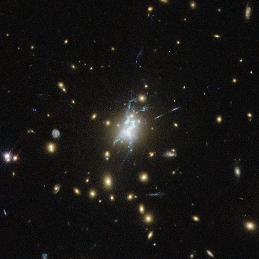 Phoenix Cluster