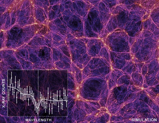 Plot and Simulation