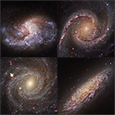 NGC 1385, NGC 1566, NGC 3344, NGC 6503