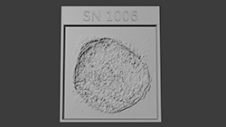 Image of a 3D SN 1006