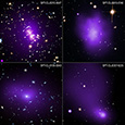 Brightest Cluster Galaxies