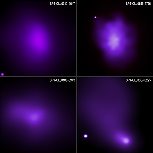 Brightest Cluster Galaxies Survey