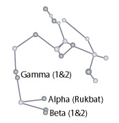 Sagittarius Constellation