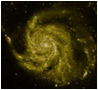M101 Optical
