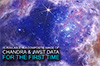 Quick Look: The Enduring Stellar Lifecycle in 30 Doradus